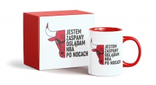 Bulls nba kubek